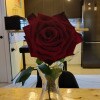 https://cdn-ostrovok-ru-ion.test.edgekey.net/t/100x100/hotel_review/42/24/42247f069490015c245c02ac5e755c5d4a3b69ad.jpeg