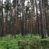 https://cdn-ostrovok-ru-ion.test.edgekey.net/t/100x100/hotel_review/42/27/4227e93d6246ec9d58eb6a196f6bcccb3d12f6b1.jpeg