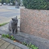 https://cdn-ostrovok-ru-ion.test.edgekey.net/t/100x100/hotel_review/42/40/424049551e7a4c9d82ab74987f2be94d636cd4ea.JPEG