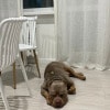 https://cdn-ostrovok-ru-ion.test.edgekey.net/t/100x100/hotel_review/42/45/4245353f080677cb9ec612c3ffe9843b7df26de5.JPEG