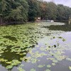 https://cdn-ostrovok-ru-ion.test.edgekey.net/t/100x100/hotel_review/42/80/4280eef6aece8e3e7aa970c7569b66a1a1720de9.JPEG