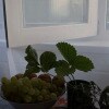 https://cdn-ostrovok-ru-ion.test.edgekey.net/t/100x100/hotel_review/42/aa/42aa547f092048a7730f115be7e0a898eecd070f.JPEG