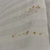 https://cdn-ostrovok-ru-ion.test.edgekey.net/t/100x100/hotel_review/43/05/43050a567e79e087819f51ae5f025e6334c4daf0.JPEG