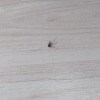 https://cdn-ostrovok-ru-ion.test.edgekey.net/t/100x100/hotel_review/43/4e/434e2f058dd855ac9f430a2b86b9282e4c62c075.jpeg