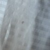 https://cdn-ostrovok-ru-ion.test.edgekey.net/t/100x100/hotel_review/43/7f/437f23f253d622e00807498dda3291dc7b3476a0.JPEG