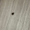 https://cdn-ostrovok-ru-ion.test.edgekey.net/t/100x100/hotel_review/43/86/4386ffe5fcb7c91d0052b168eabb48c1e8682843.JPEG