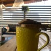 https://cdn-ostrovok-ru-ion.test.edgekey.net/t/100x100/hotel_review/43/9e/439e4a95e11cdc4d4441714ed8b752477d03ed64.JPEG