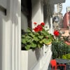 https://cdn-ostrovok-ru-ion.test.edgekey.net/t/100x100/hotel_review/43/bd/43bddc51369cfb8b30301aa970c39ff2060f4b22.JPEG