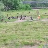 https://cdn-ostrovok-ru-ion.test.edgekey.net/t/100x100/hotel_review/44/09/44093641b975ba1305792779b52eb53553ea74fc.JPEG