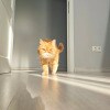 https://cdn-ostrovok-ru-ion.test.edgekey.net/t/100x100/hotel_review/44/25/44255207e4b27653f87ad96afc1f92d89ebe1b04.JPEG
