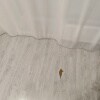 https://cdn-ostrovok-ru-ion.test.edgekey.net/t/100x100/hotel_review/44/35/4435b5c40dcec39acd31b1e48423a5e0d52bc06e.JPEG