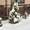 https://cdn-ostrovok-ru-ion.test.edgekey.net/t/100x100/hotel_review/44/51/4451fa0e2779ca7655d2f3d0986f4810c304ecdc.JPEG
