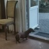 https://cdn-ostrovok-ru-ion.test.edgekey.net/t/100x100/hotel_review/44/8b/448b644ce29cda478875da34615e3896e57c072d.jpeg