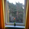 https://cdn-ostrovok-ru-ion.test.edgekey.net/t/100x100/hotel_review/44/8e/448e664a85ce3fce7d6d53f283d8c8e13ca6b452.JPEG