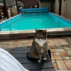 https://cdn-ostrovok-ru-ion.test.edgekey.net/t/100x100/hotel_review/45/04/4504f7c07ab8ac1eaadd08154af919fc4c3f3c03.JPEG