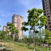 https://cdn-ostrovok-ru-ion.test.edgekey.net/t/100x100/hotel_review/45/22/4522390b124e42eb96189062cf40ae51109c5056.JPEG