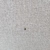 https://cdn-ostrovok-ru-ion.test.edgekey.net/t/100x100/hotel_review/45/34/45342b19aec66cf3135e2de6e507cda82703c575.JPEG