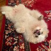 https://cdn-ostrovok-ru-ion.test.edgekey.net/t/100x100/hotel_review/45/40/454078ad731e071e91bb521b3826694a503540ab.jpeg