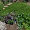 https://cdn-ostrovok-ru-ion.test.edgekey.net/t/100x100/hotel_review/45/6f/456ffbc240435c4a3cac8625eacd9d8072063460.jpeg
