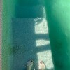 https://cdn-ostrovok-ru-ion.test.edgekey.net/t/100x100/hotel_review/45/aa/45aa2c0286e2c16f92bc8f7232e0b614b5ca408e.JPEG