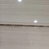 https://cdn-ostrovok-ru-ion.test.edgekey.net/t/100x100/hotel_review/45/e6/45e651437a02e739f88446c050bcb2f430bb3ee4.JPEG