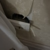 https://cdn-ostrovok-ru-ion.test.edgekey.net/t/100x100/hotel_review/45/ec/45ec3c08e4e3c9a05bb1f619a37e4be38687cc28.JPEG