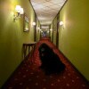 https://cdn-ostrovok-ru-ion.test.edgekey.net/t/100x100/hotel_review/45/f7/45f76f3da2ffcd7a6055f6c1e135a19840093bcb.JPEG