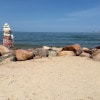 https://cdn-ostrovok-ru-ion.test.edgekey.net/t/100x100/hotel_review/46/02/46026ff9194fe8b8e6d1ce2b68e4a41fc70bc1b7.JPEG
