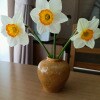 https://cdn-ostrovok-ru-ion.test.edgekey.net/t/100x100/hotel_review/46/5f/465fe84ca91063cdb5c9204e69a9cc22ce8859f3.JPEG