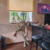 https://cdn-ostrovok-ru-ion.test.edgekey.net/t/100x100/hotel_review/46/84/468480c42c5e59d1d2c1fa75f659f7256bddab48.JPEG