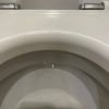 https://cdn-ostrovok-ru-ion.test.edgekey.net/t/100x100/hotel_review/46/d7/46d78fa9b346154e24d6db40f90b4092f9a7c9d0.JPEG