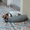 https://cdn-ostrovok-ru-ion.test.edgekey.net/t/100x100/hotel_review/46/e6/46e66d3e98d03a807c124f565e6b8fb8128157d9.jpeg