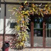 https://cdn-ostrovok-ru-ion.test.edgekey.net/t/100x100/hotel_review/47/9a/479a03adc6c1d956f4a99830e032072c8258b309.JPEG