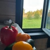 https://cdn-ostrovok-ru-ion.test.edgekey.net/t/100x100/hotel_review/47/b6/47b69a2f94fc788a5f744065ca3ecd2f7622af59.JPEG