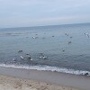https://cdn-ostrovok-ru-ion.test.edgekey.net/t/100x100/hotel_review/47/b9/47b9c8b132ee5a9f9f6fee5aafc16f4a6b240a4a.JPEG