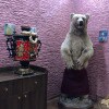 https://cdn-ostrovok-ru-ion.test.edgekey.net/t/100x100/hotel_review/47/d7/47d7bab06876c9bc1aba77d621ebe4bc04e1f44a.JPEG