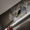 https://cdn-ostrovok-ru-ion.test.edgekey.net/t/100x100/hotel_review/47/e1/47e12db5873097fc146a47cce5538e6d75b72aa0.JPEG