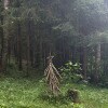 https://cdn-ostrovok-ru-ion.test.edgekey.net/t/100x100/hotel_review/48/08/4808fd59bb51456db363d6a96075ffc1a7782d2e.JPEG