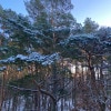 https://cdn-ostrovok-ru-ion.test.edgekey.net/t/100x100/hotel_review/48/59/48599de32e18881b61975027a087e3af71778b1b.jpeg