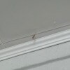 https://cdn-ostrovok-ru-ion.test.edgekey.net/t/100x100/hotel_review/48/5d/485d49a01395369d65cd7b302fce42b91dbb285a.JPEG