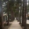 https://cdn-ostrovok-ru-ion.test.edgekey.net/t/100x100/hotel_review/48/bd/48bd05864ef04d22857d16be1ae5ad0ba477a247.JPEG