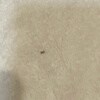 https://cdn-ostrovok-ru-ion.test.edgekey.net/t/100x100/hotel_review/48/c1/48c1a97d90d3edc658332b0207f2057d92e9099f.JPEG