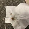 https://cdn-ostrovok-ru-ion.test.edgekey.net/t/100x100/hotel_review/48/d0/48d07c868af7da268fcdaf351efb9b2c5961a022.jpeg