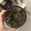 https://cdn-ostrovok-ru-ion.test.edgekey.net/t/100x100/hotel_review/48/d3/48d335469e417949b62d3e9e08c07aef948a6014.JPEG