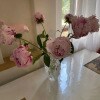 https://cdn-ostrovok-ru-ion.test.edgekey.net/t/100x100/hotel_review/48/e3/48e3f96d0e17bbae037e73d36ba8e783bba1a80b.jpeg