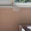 https://cdn-ostrovok-ru-ion.test.edgekey.net/t/100x100/hotel_review/49/2c/492c706c50f6e582300e79912caee3f932fd5f57.JPEG