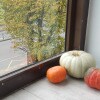 https://cdn-ostrovok-ru-ion.test.edgekey.net/t/100x100/hotel_review/49/3c/493c50767dc19bd290c60efed67ce0b1edaf3b7d.jpeg