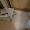 https://cdn-ostrovok-ru-ion.test.edgekey.net/t/100x100/hotel_review/49/6c/496cbce351d90a5c44c767eb453ecee81fe24973.JPEG