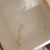 https://cdn-ostrovok-ru-ion.test.edgekey.net/t/100x100/hotel_review/49/80/49804fc4dbc0cdae5281261204da9d9f9c6d58d3.JPEG