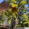 https://cdn-ostrovok-ru-ion.test.edgekey.net/t/100x100/hotel_review/4a/6f/4a6f6d06297f8ddb31f8e8f78761bbc597e2058d.JPEG